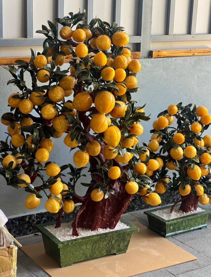Dáng Cây Đào Long Giáng Trần